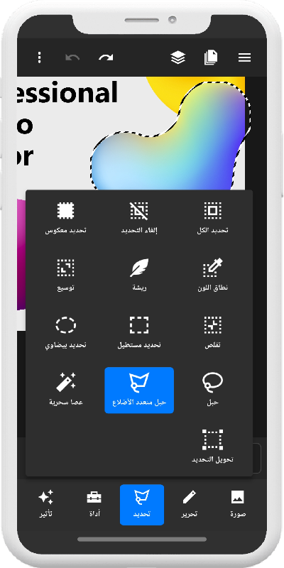 صورة التحديدات