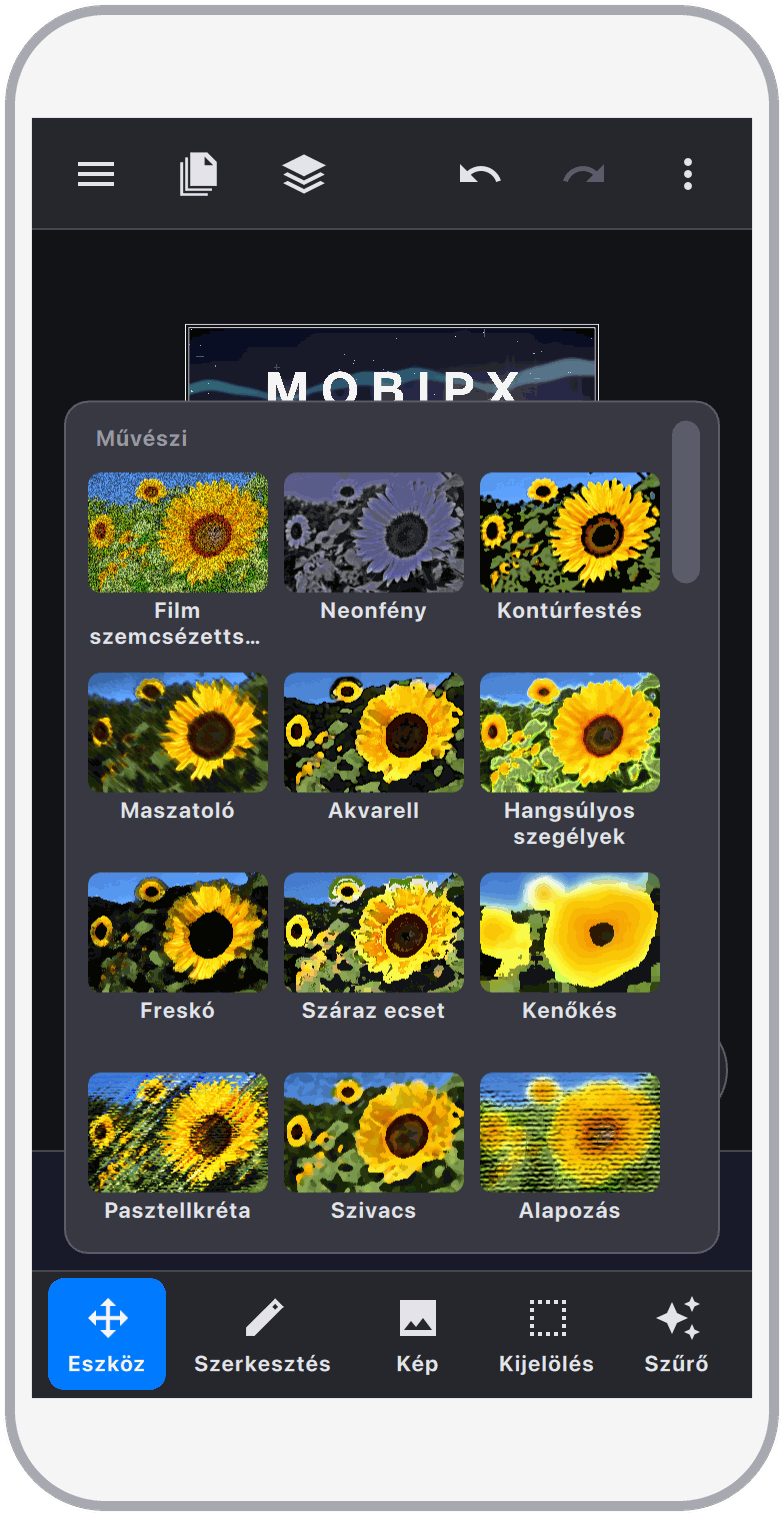 Képernyőkép 8